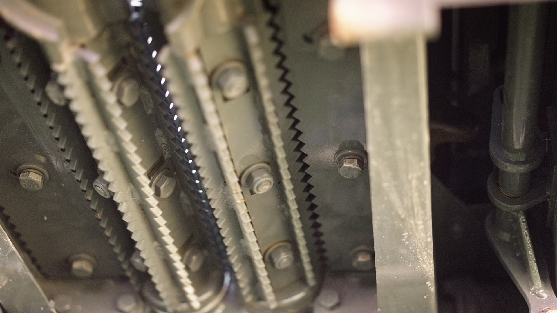 Mainero IRT stalk rolls close-up